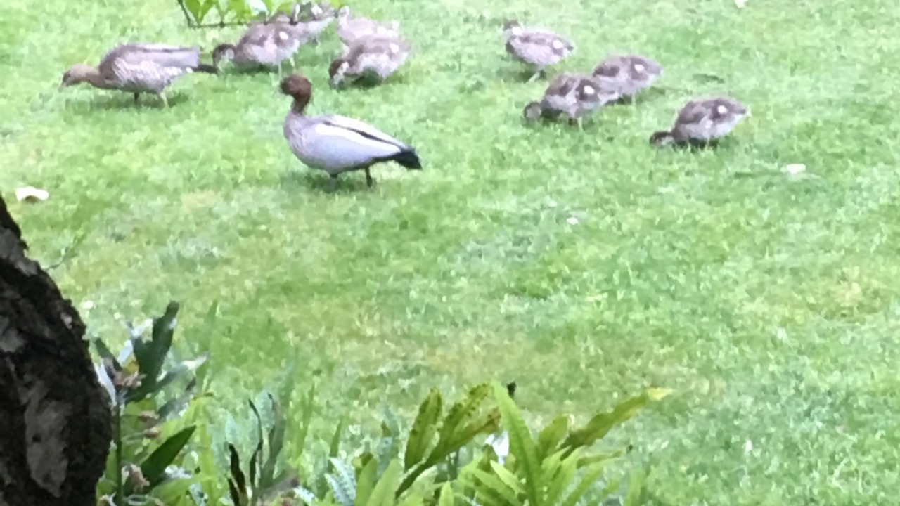 Photo of Others in Stirling