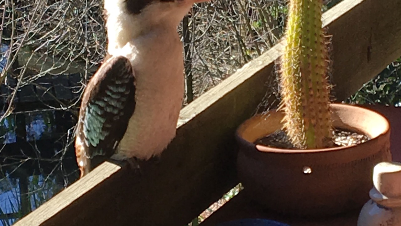 Photo of Others in Stirling