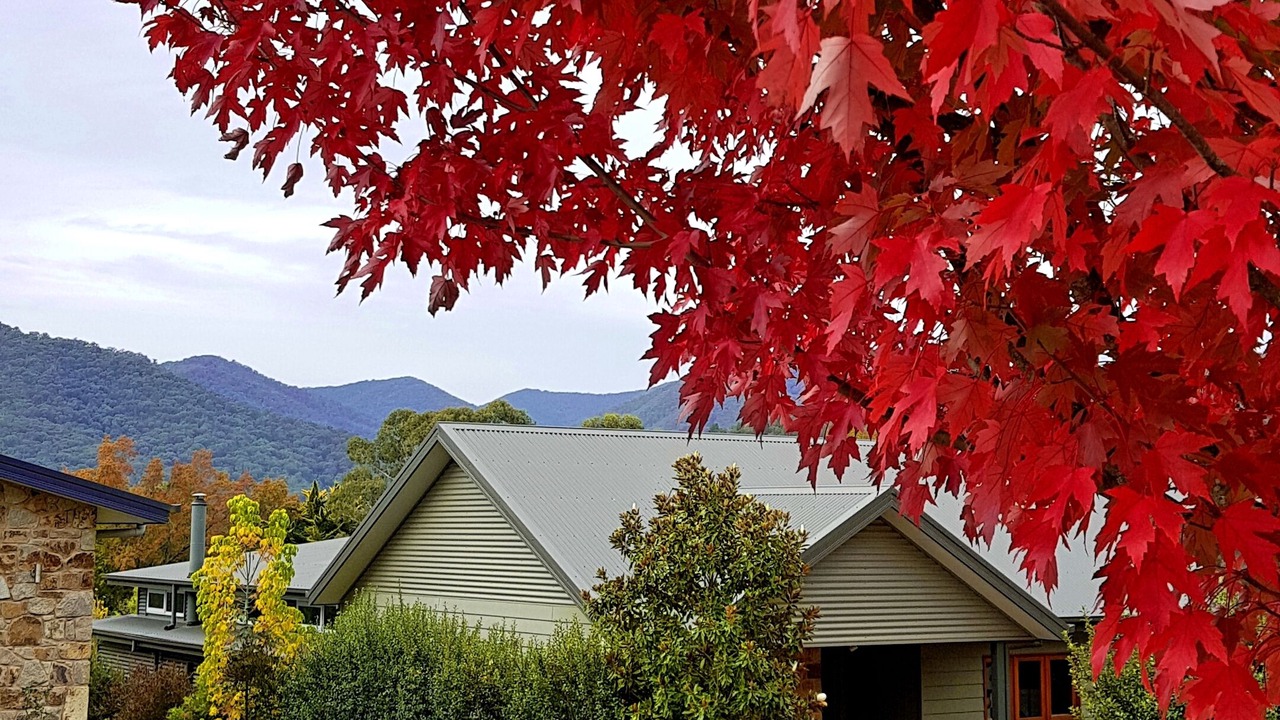 Photo of Outdoor in Bright