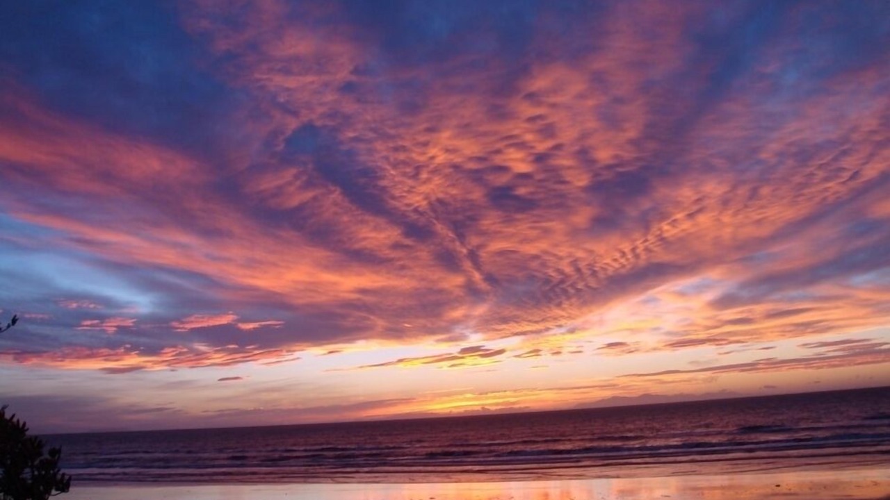 Photo of Others in Paraparaumu