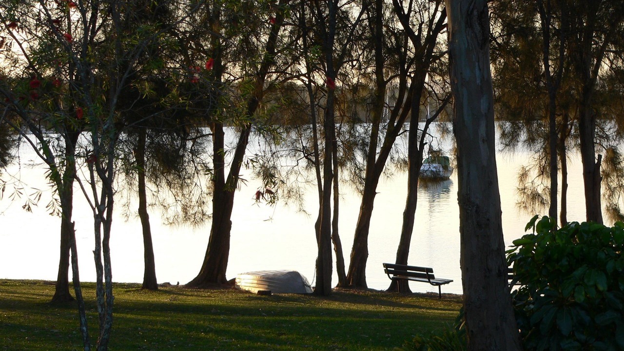 Photo of Others in Mannering Park