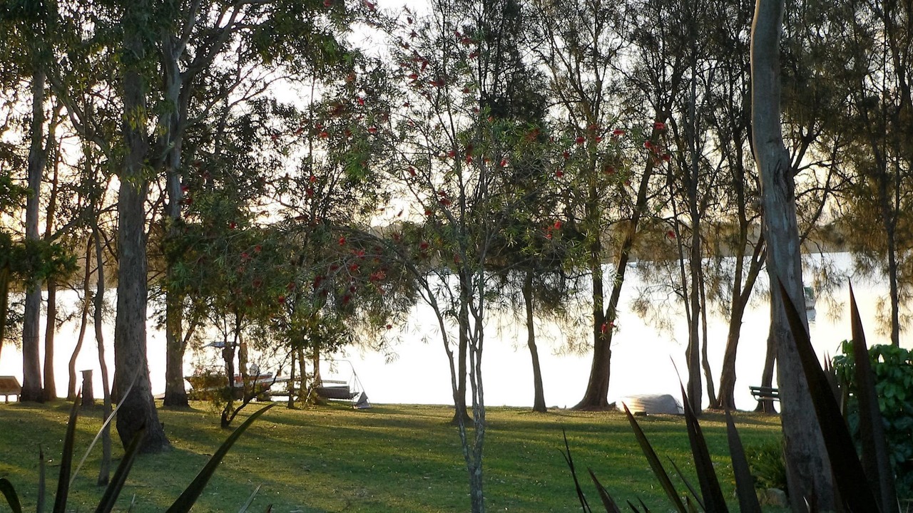 Photo of Outdoor in Mannering Park