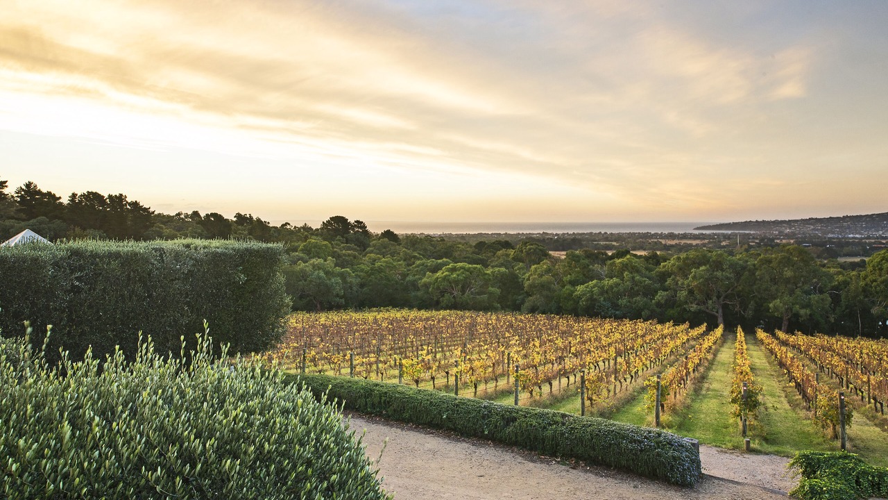 Photo of Outdoor in Red Hill