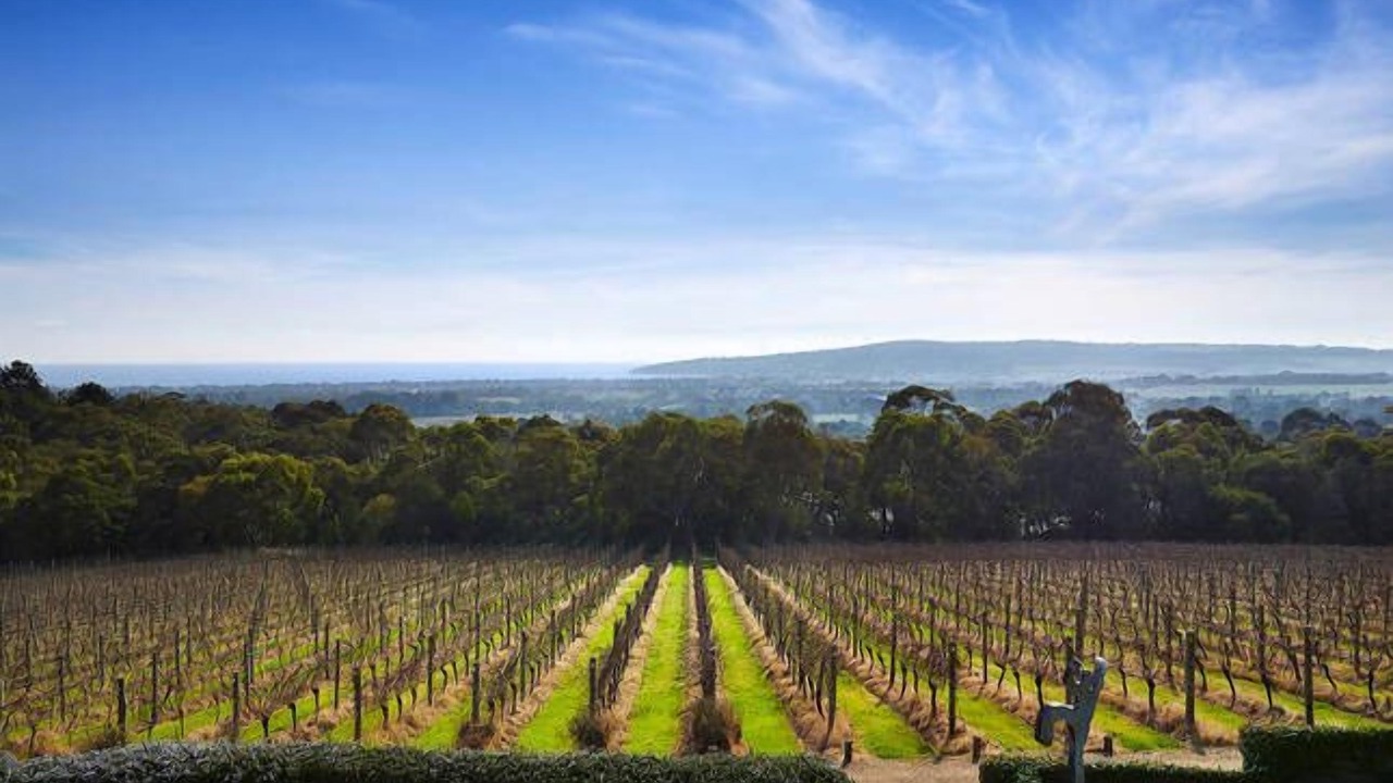 Photo of Others in Red Hill