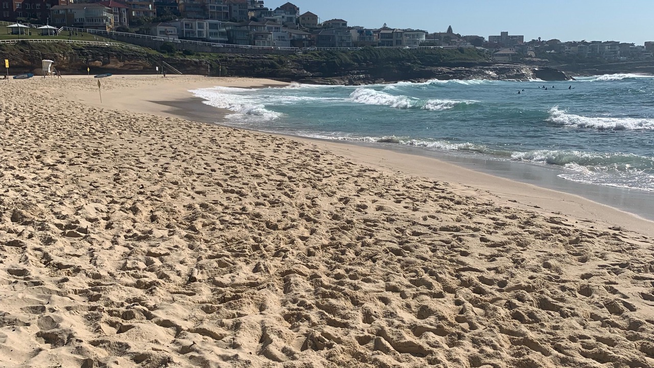 Photo of Others in Bronte