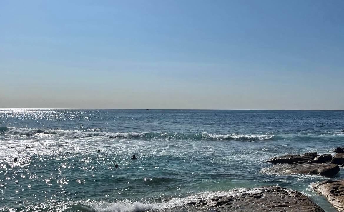 Photo of Others in Bronte