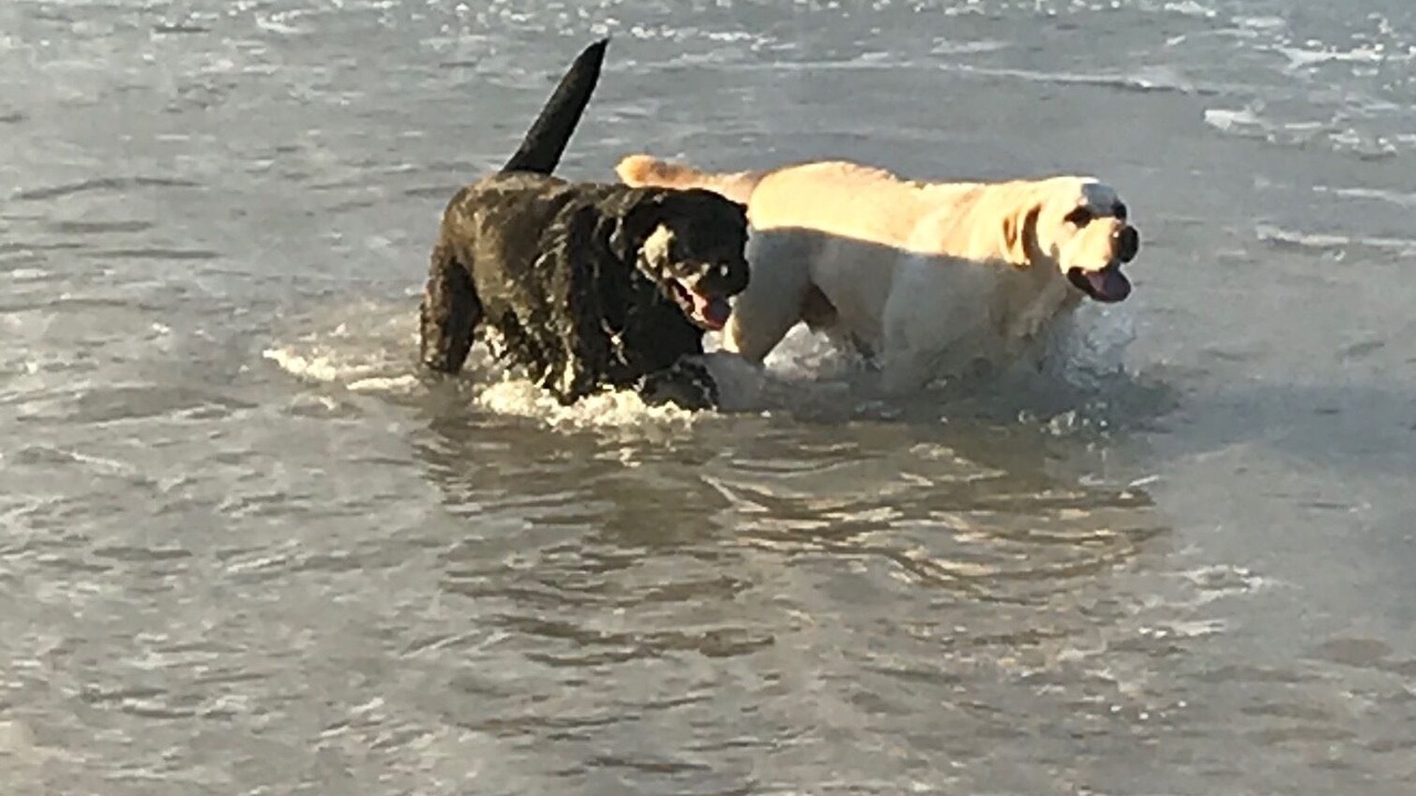 Photo of Others in Boomerang Beach