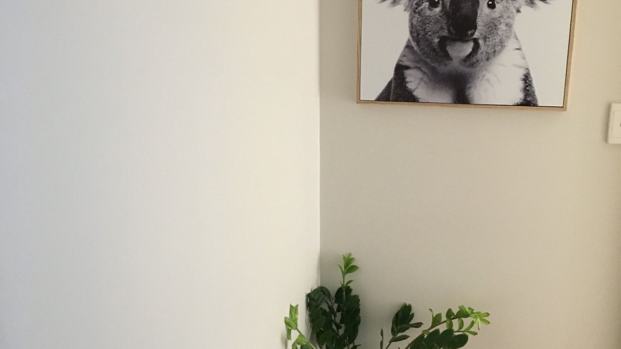 Photo of Others in Boomerang Beach