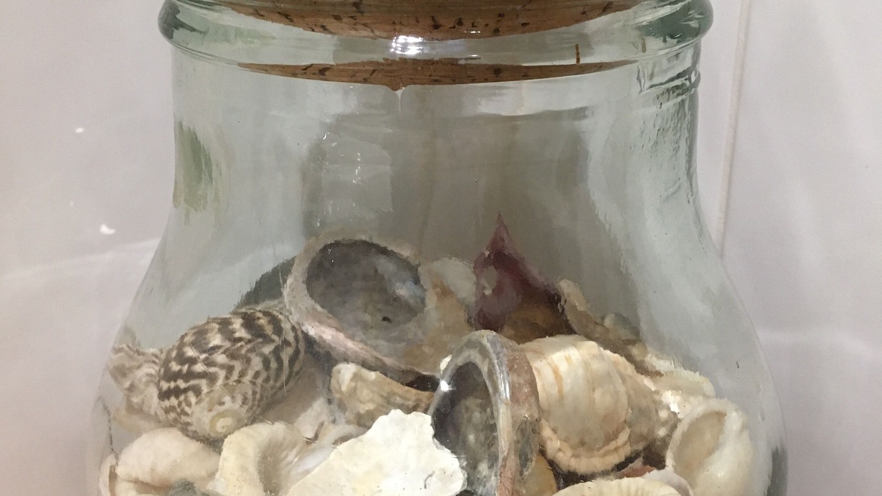 Photo of Others in Sandy Point