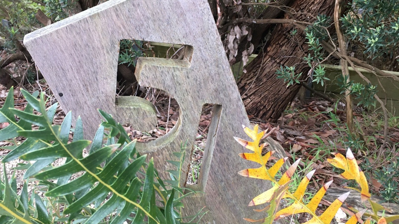 Photo of Outdoor in Sandy Point