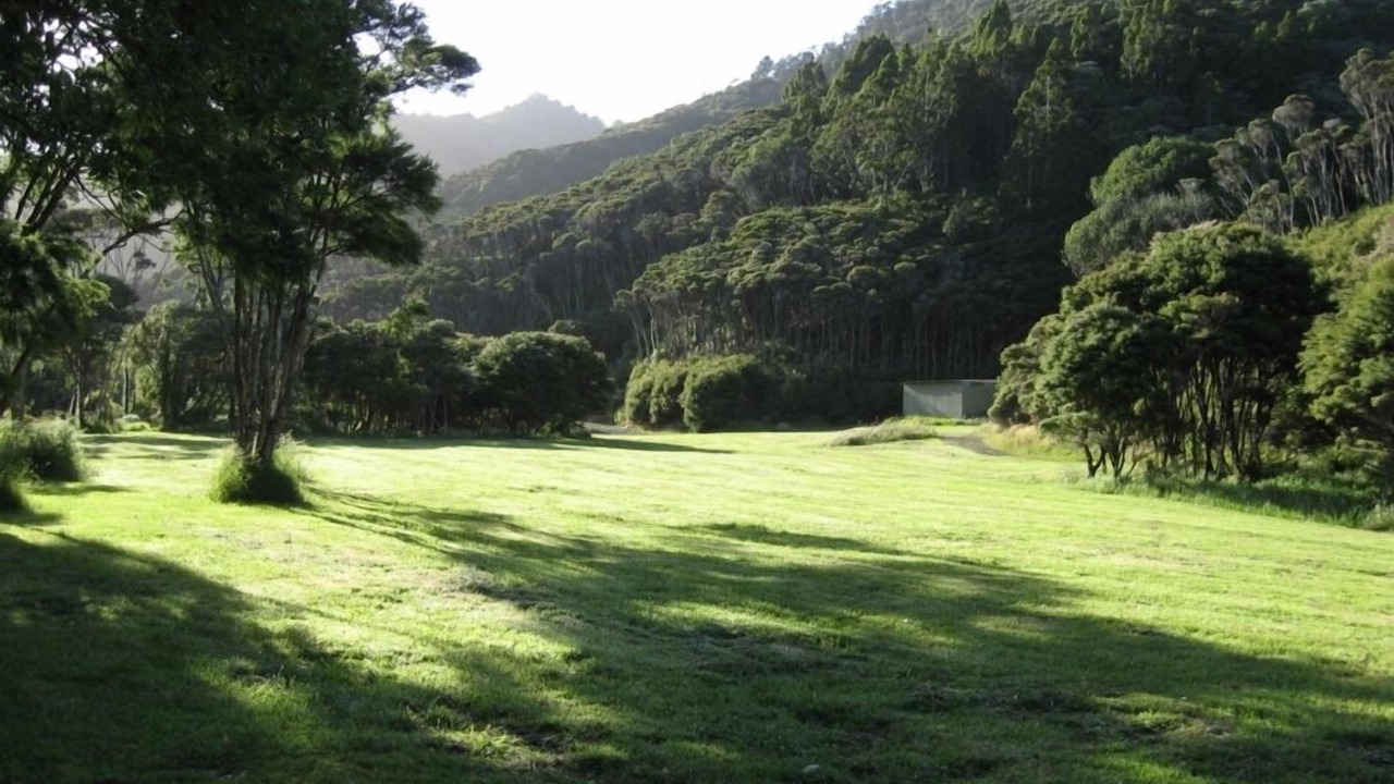 Photo of Others in Coromandel Peninsula