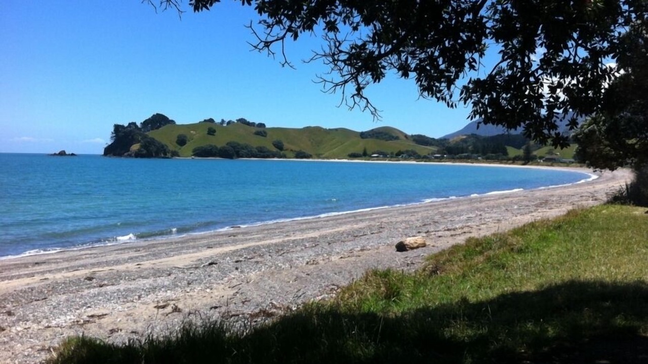 Photo of Others in Coromandel Peninsula