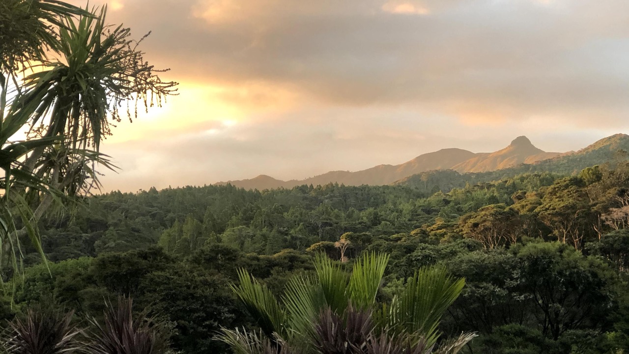 Photo of Outdoor in Coromandel Peninsula