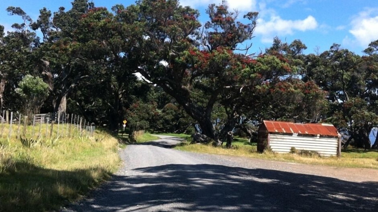 Photo of Others in Coromandel Peninsula