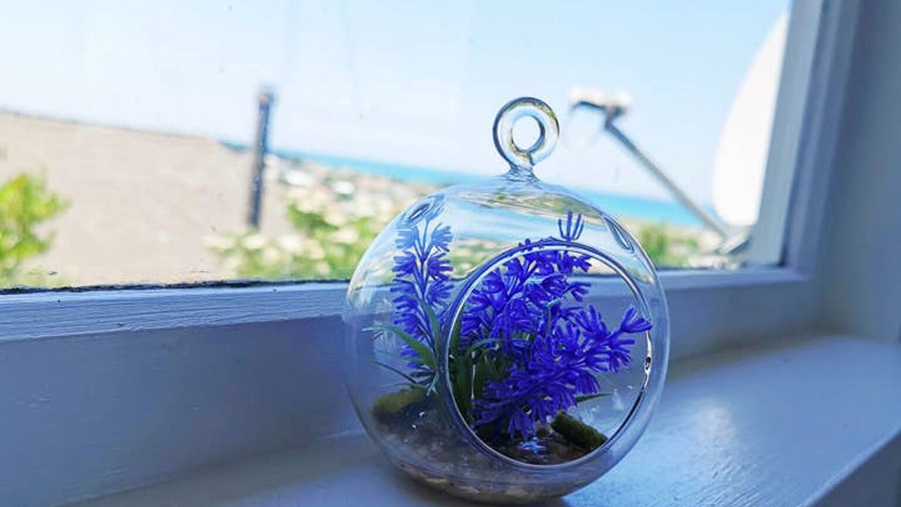 Photo of Others in Oamaru