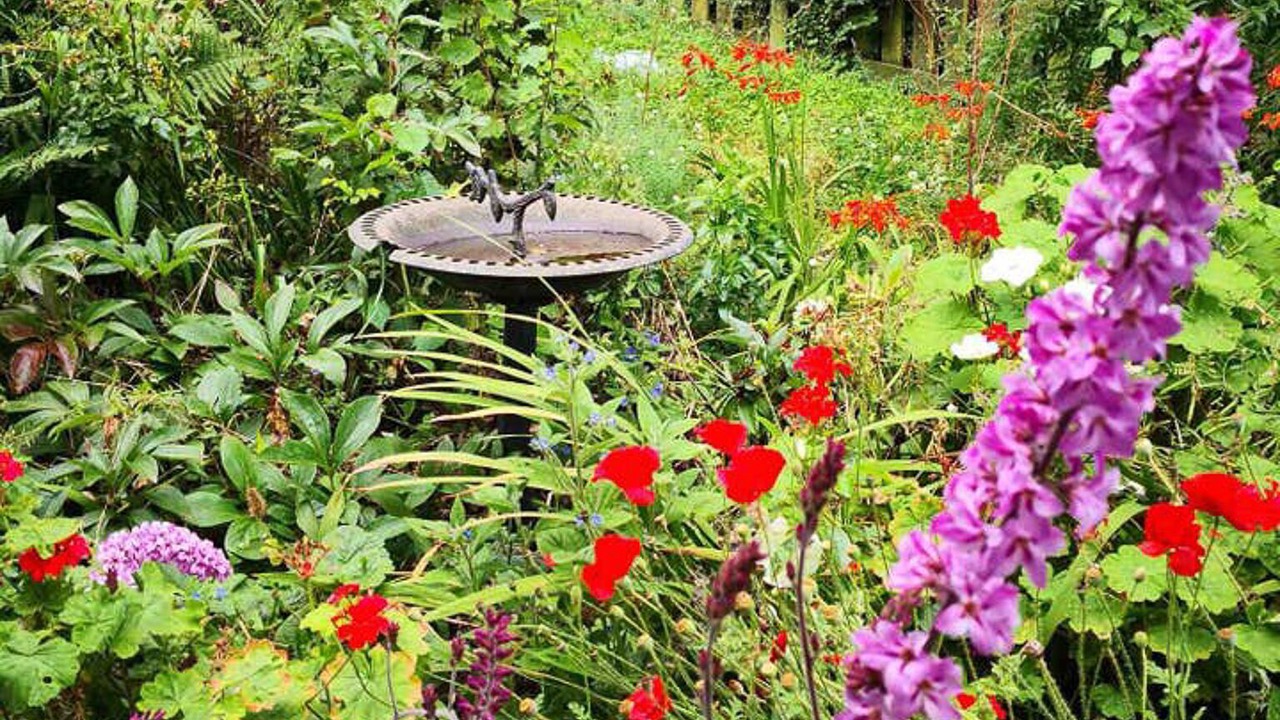 Photo of Outdoor in Oamaru