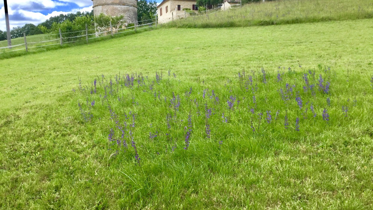 Photo of Outdoor in Parranquet