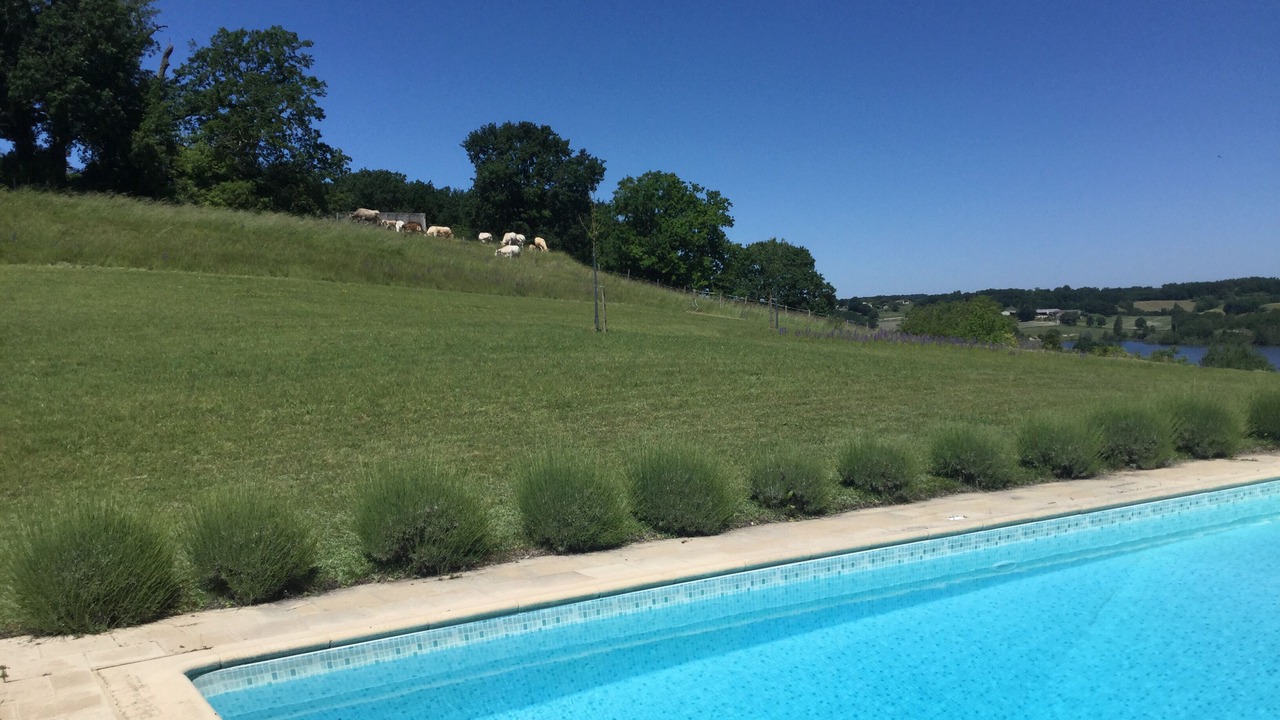 Photo of Outdoor in Parranquet