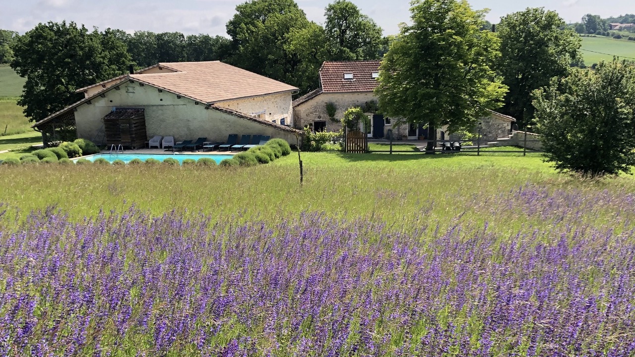 Photo of Outdoor in Parranquet