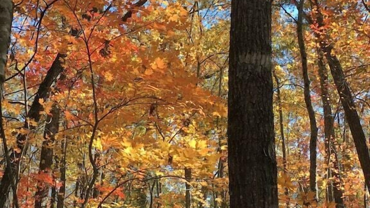 Photo of Others in Elberton