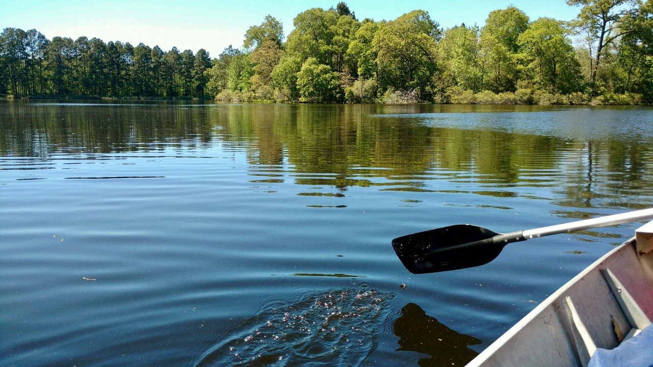 Photo of Outdoor in Grapeland
