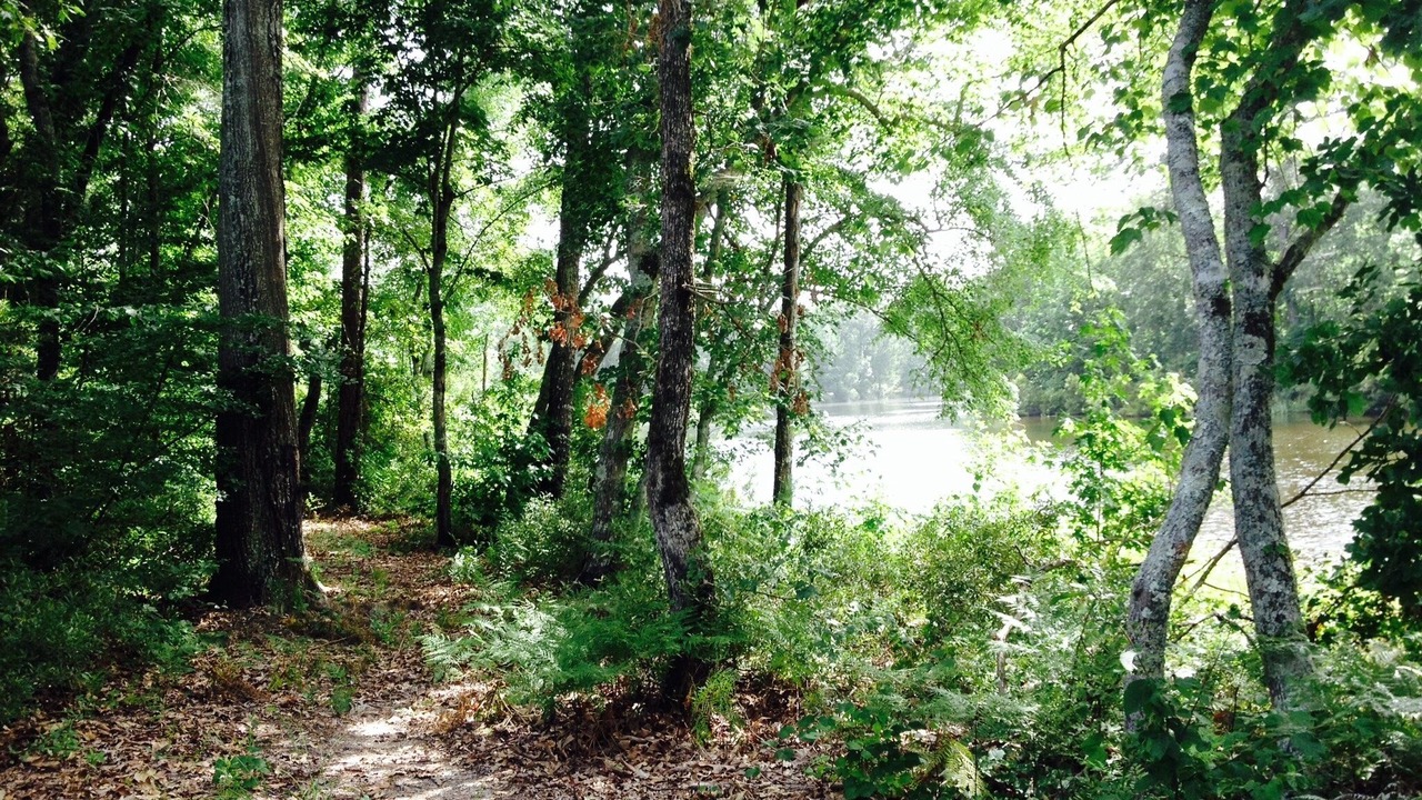 Photo of Outdoor in Grapeland