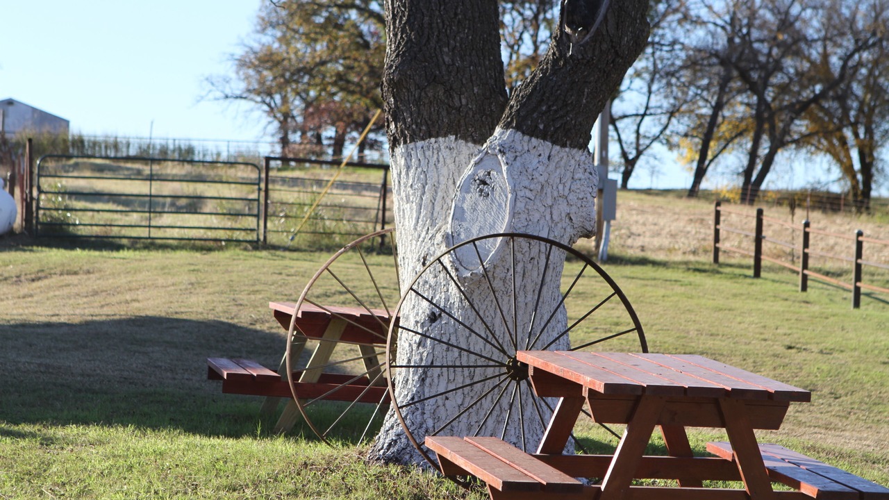 Photo of Outdoor in Ralston
