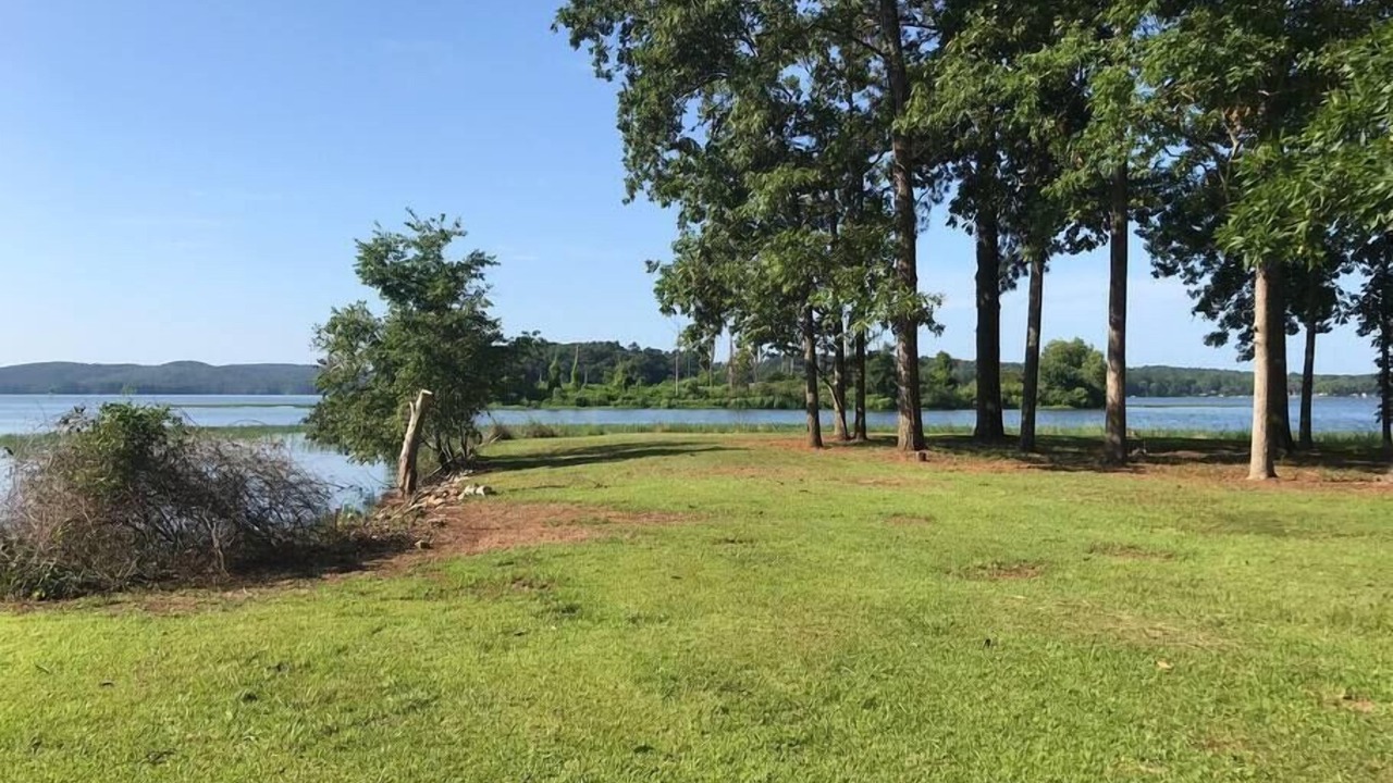 Photo of Others in Shelby