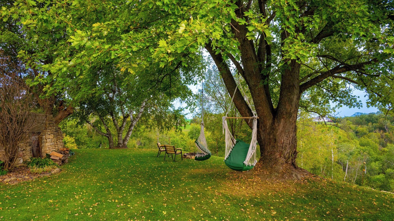 Photo of Outdoor in Fountain City