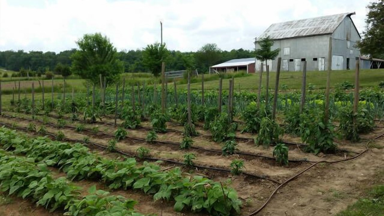 Photo of Outdoor in Beaufort