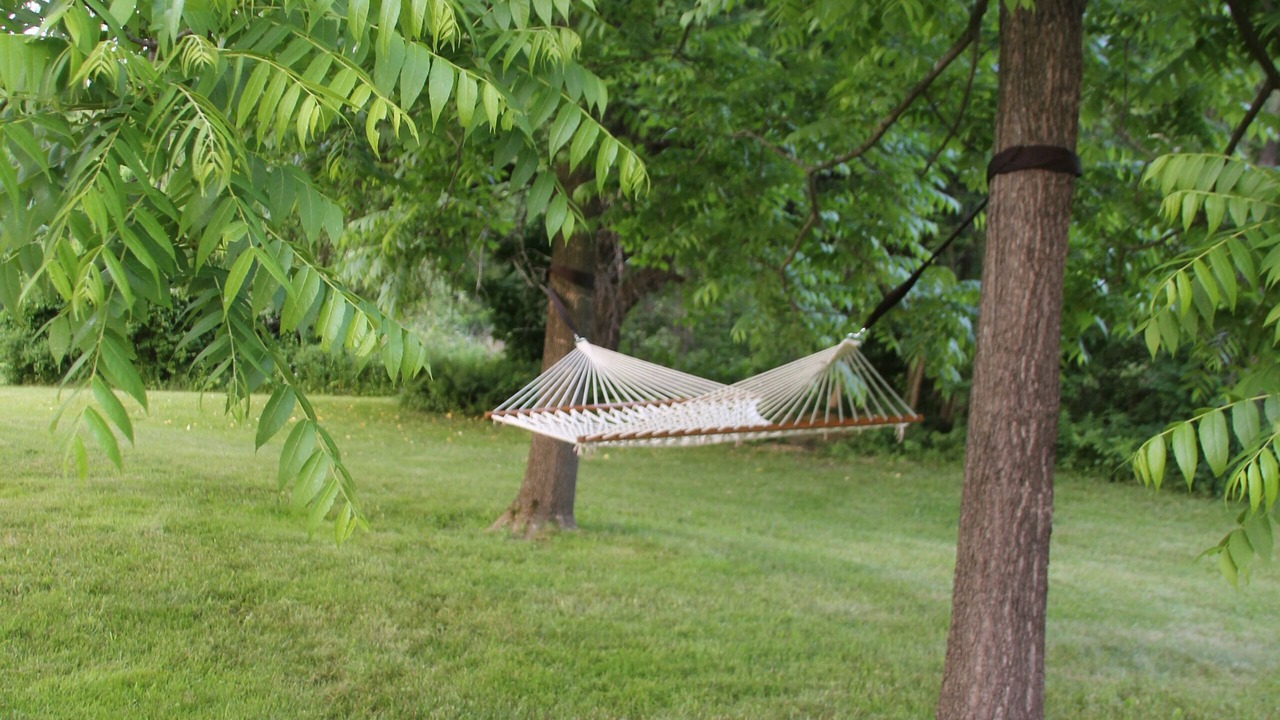 Photo of Others in Lenox Dale