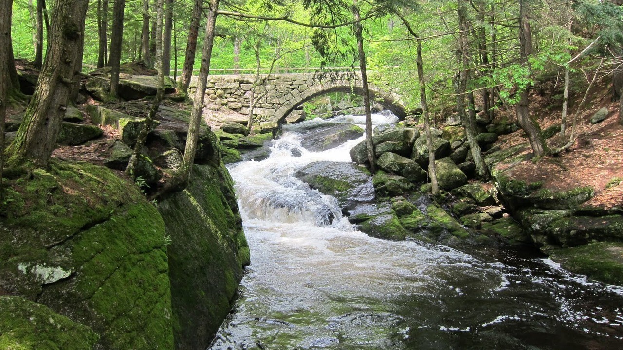 Photo of Others in Hillsboro