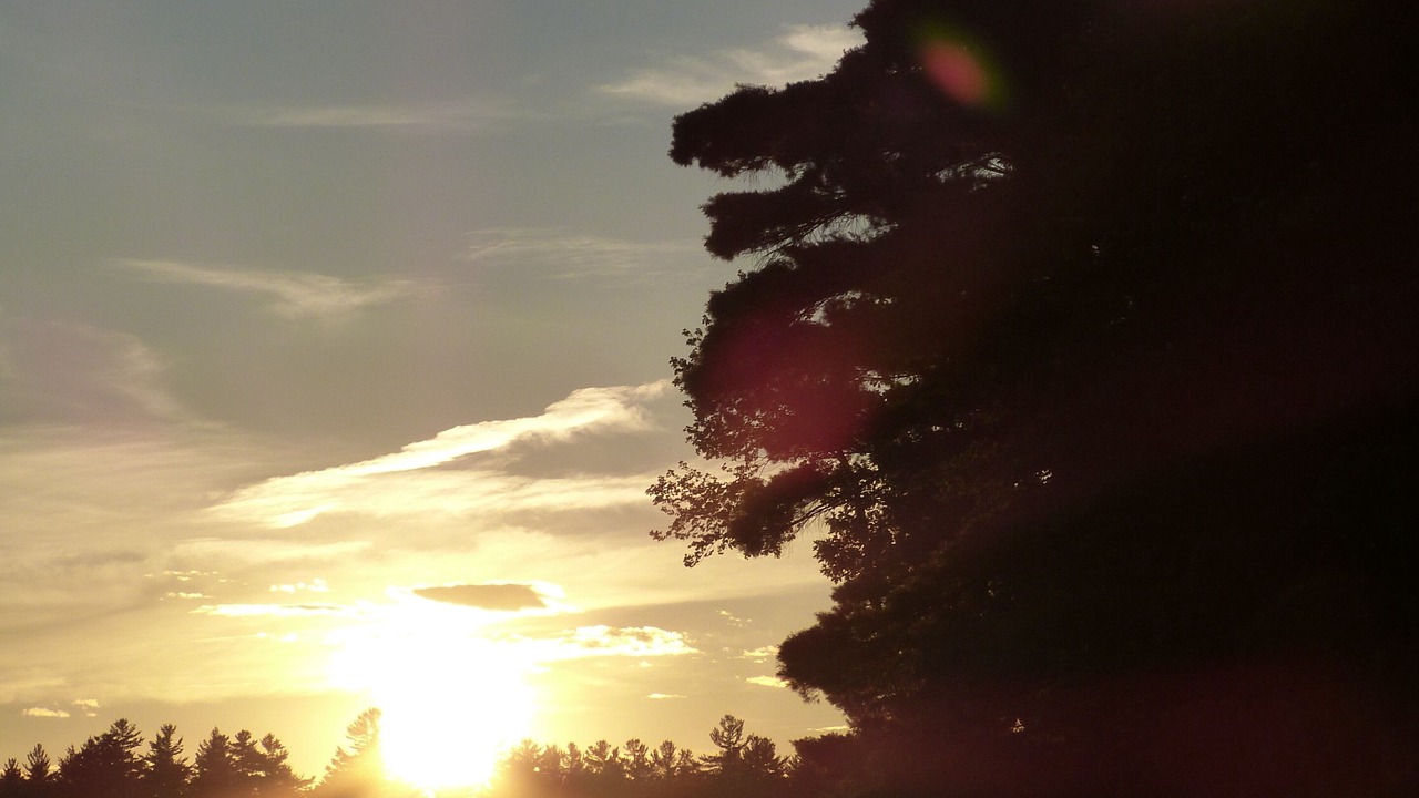 Photo of Others in Hillsboro