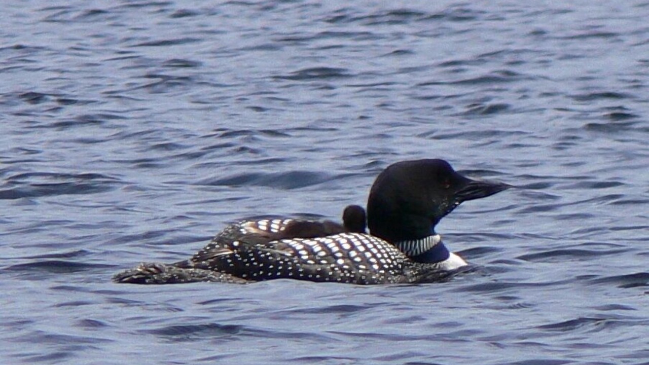 Photo of Outdoor in Hillsboro