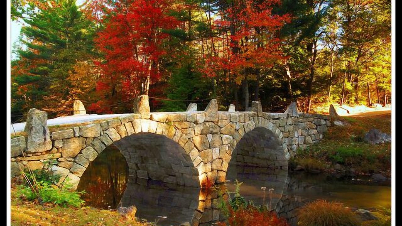 Photo of Others in Hillsboro