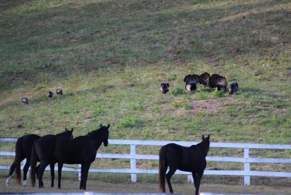Photo of Outdoor in Roanoke