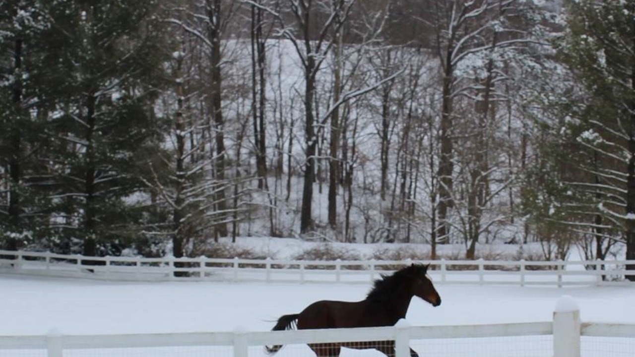 Photo of Outdoor in Roanoke