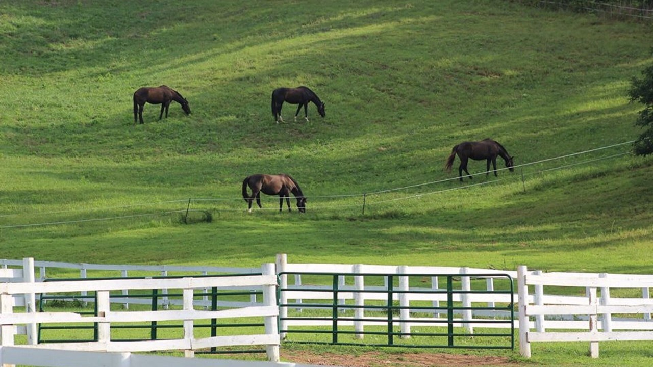 Photo of Others in Roanoke