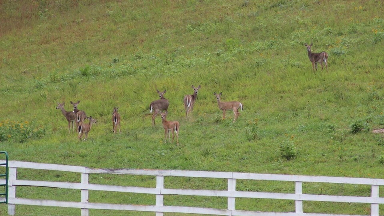 Photo of Outdoor in Roanoke