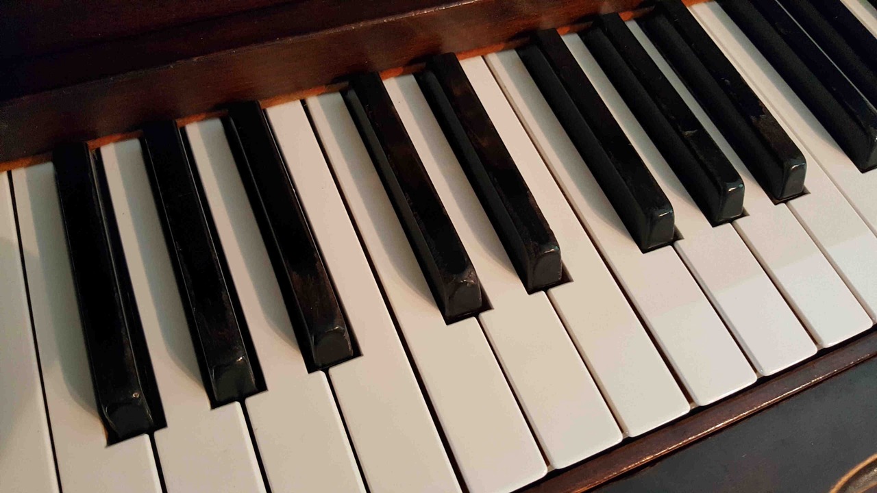 Photo of Others in West Elmira