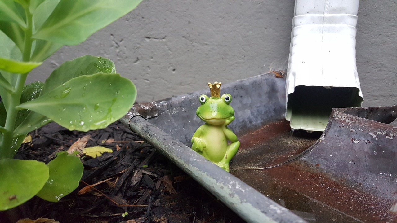 Photo of Others in West Elmira