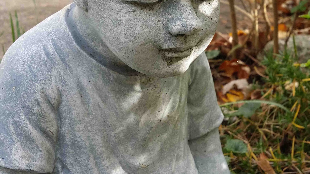 Photo of Outdoor in West Elmira