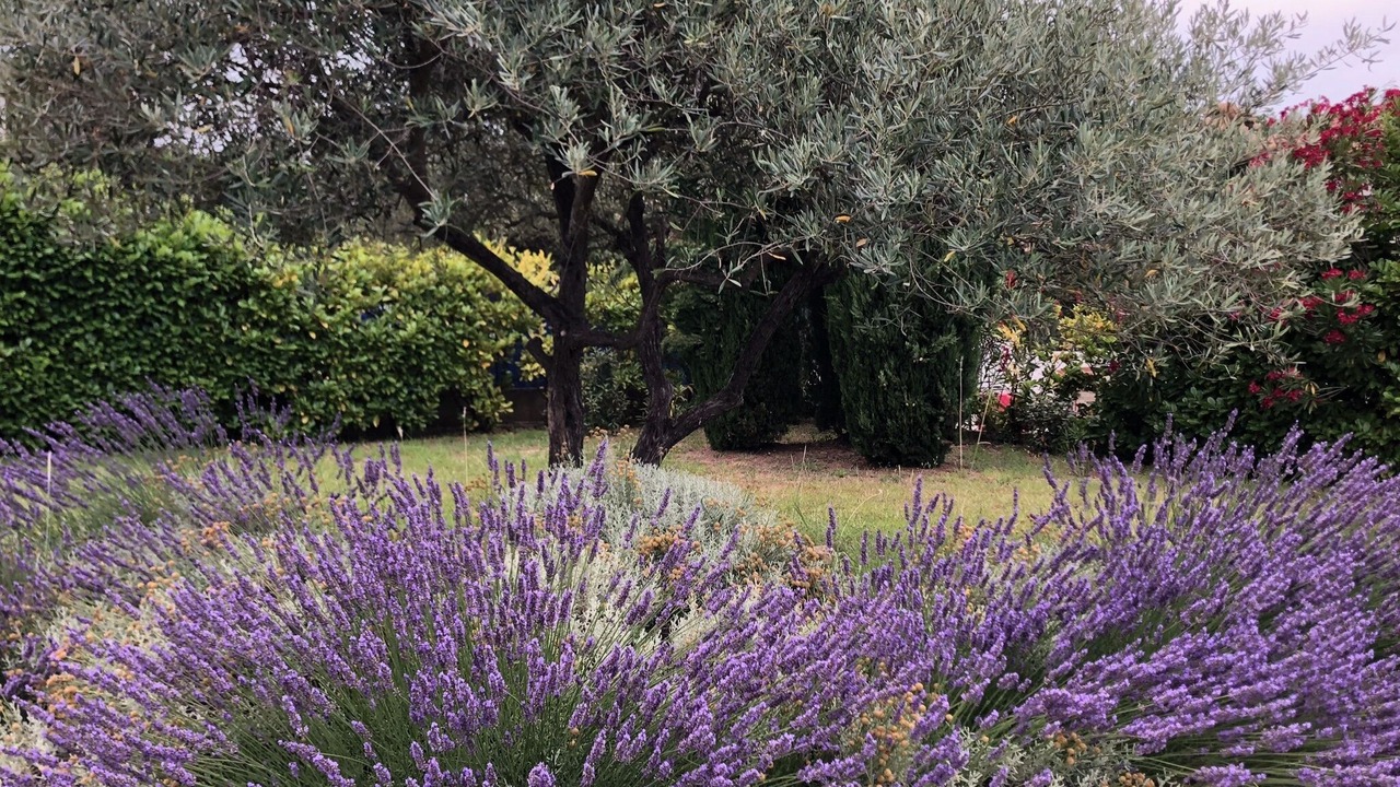 Photo of Outdoor in Montferrier-sur-Lez