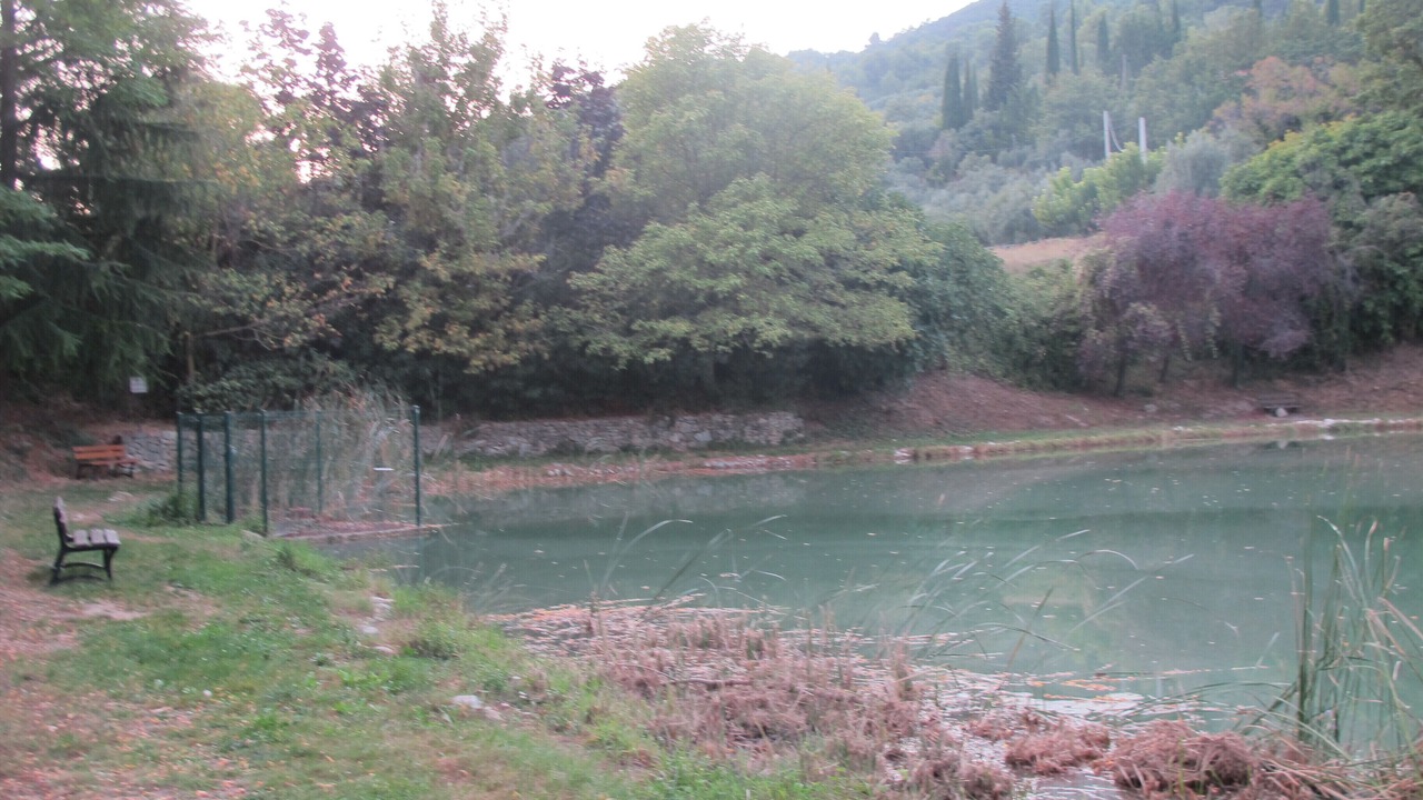 Photo of Others in Callas