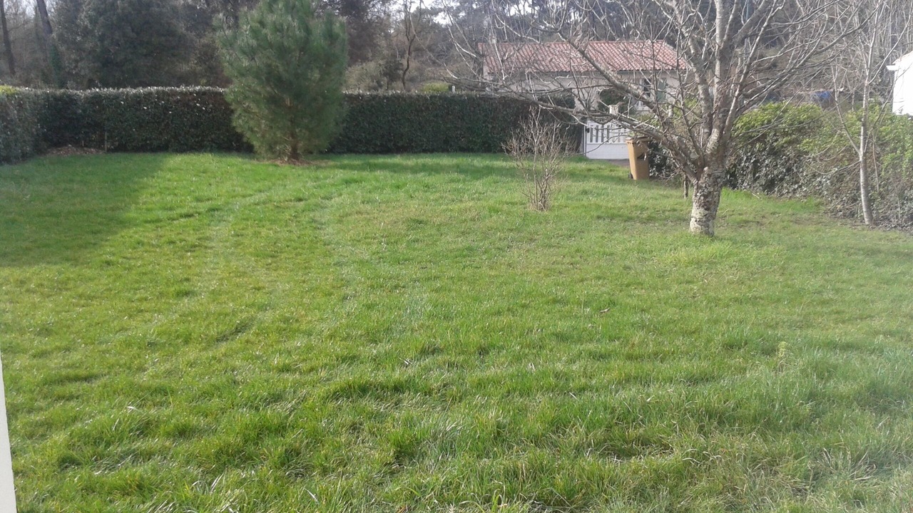 Photo of Outdoor in Saint-Vincent-sur-Jard