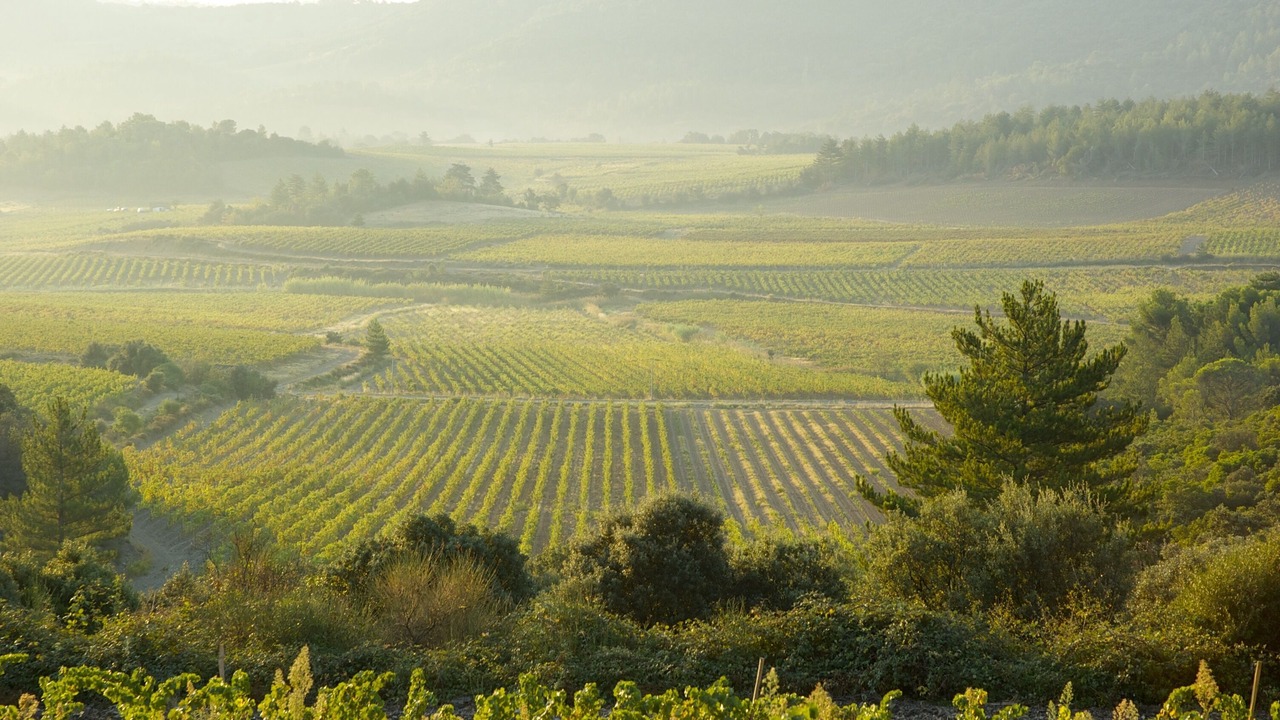 Photo of Outdoor in Babeau-Bouldoux