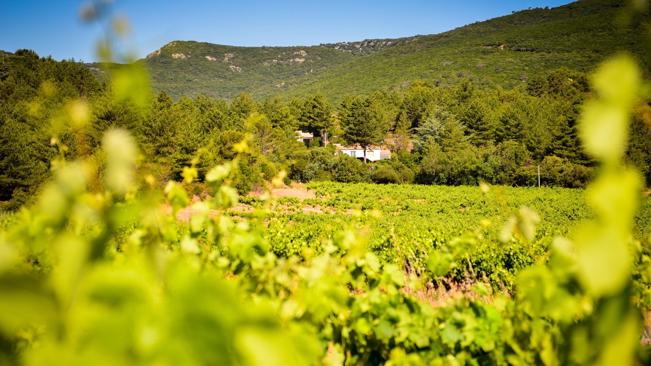 Photo of Others in Babeau-Bouldoux