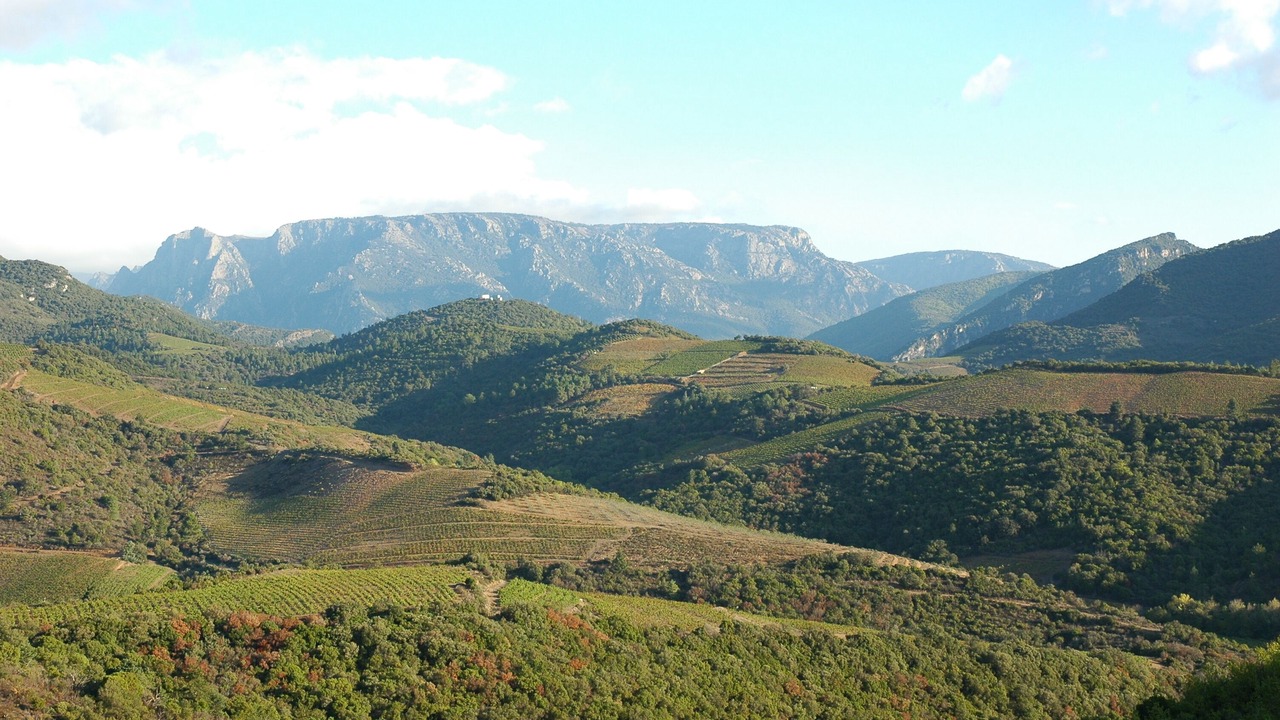 Photo of Outdoor in Babeau-Bouldoux