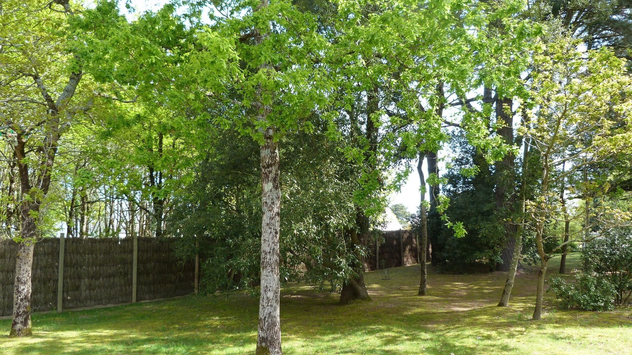 Photo of Outdoor in Mesquer