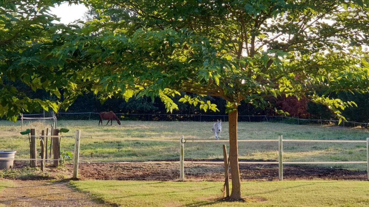 Photo of Outdoor in Parisot